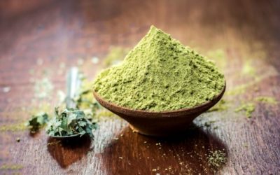 INFUSION ELEMENTS – la nuova frontiera dell’hennè
